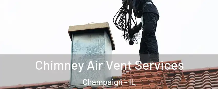  Chimney Air Vent Services Champaign - IL