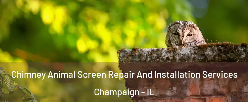  Chimney Animal Screen Repair And Installation Services Champaign - IL