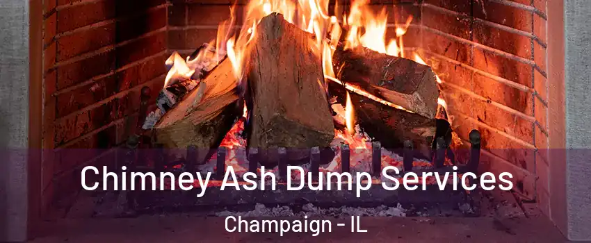  Chimney Ash Dump Services Champaign - IL