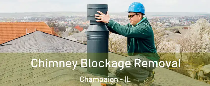  Chimney Blockage Removal Champaign - IL