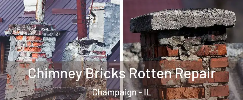  Chimney Bricks Rotten Repair Champaign - IL