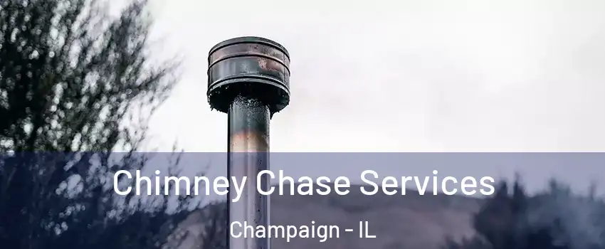  Chimney Chase Services Champaign - IL