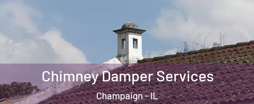  Chimney Damper Services Champaign - IL
