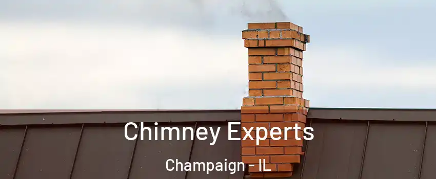  Chimney Experts Champaign - IL