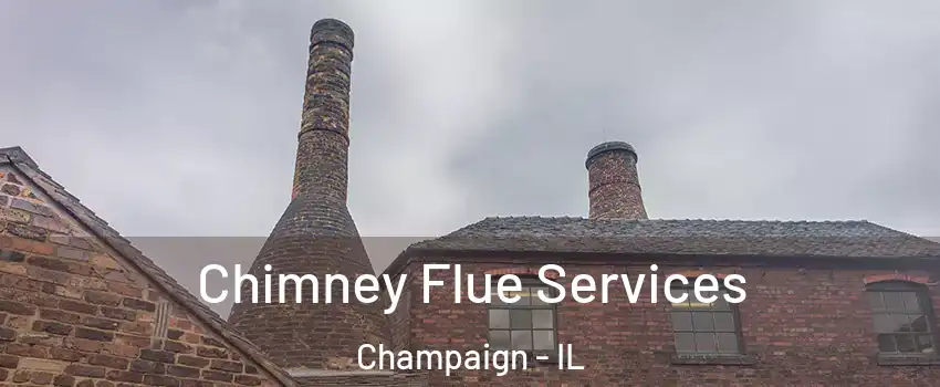  Chimney Flue Services Champaign - IL