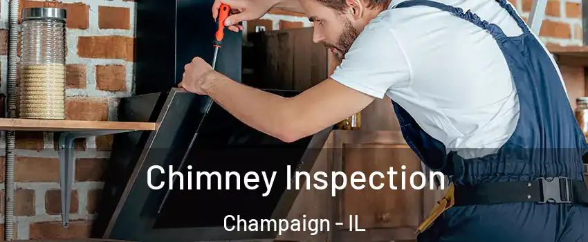  Chimney Inspection Champaign - IL