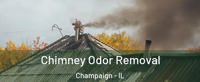  Chimney Odor Removal Champaign - IL