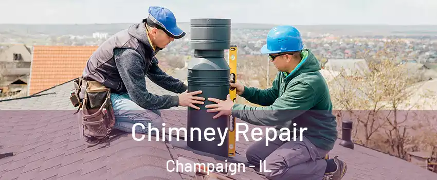  Chimney Repair Champaign - IL