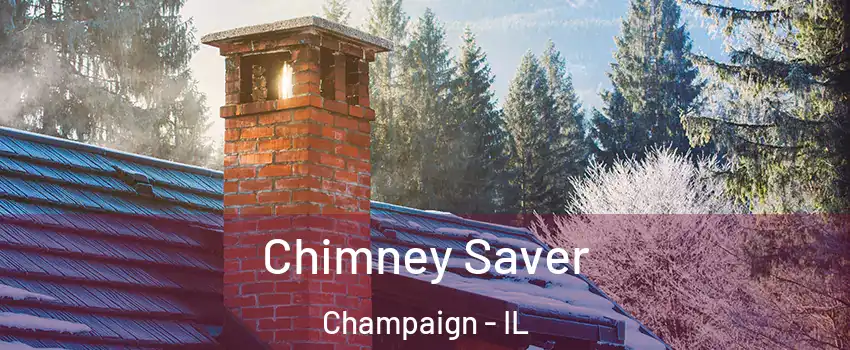 Chimney Saver Champaign - IL