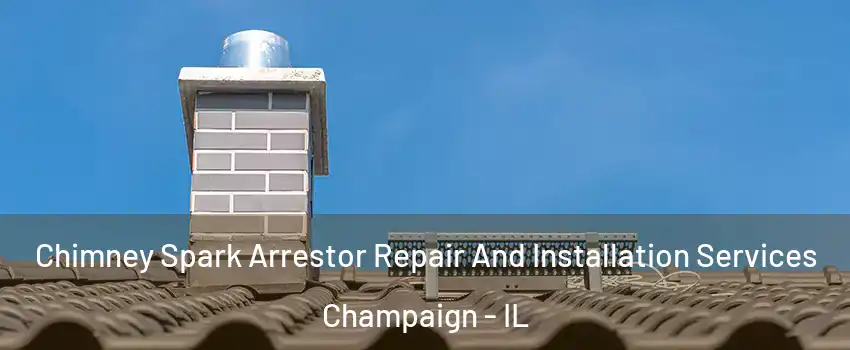  Chimney Spark Arrestor Repair And Installation Services Champaign - IL