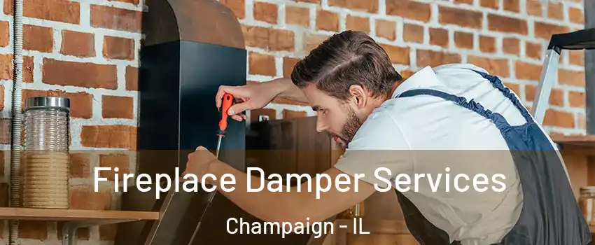  Fireplace Damper Services Champaign - IL