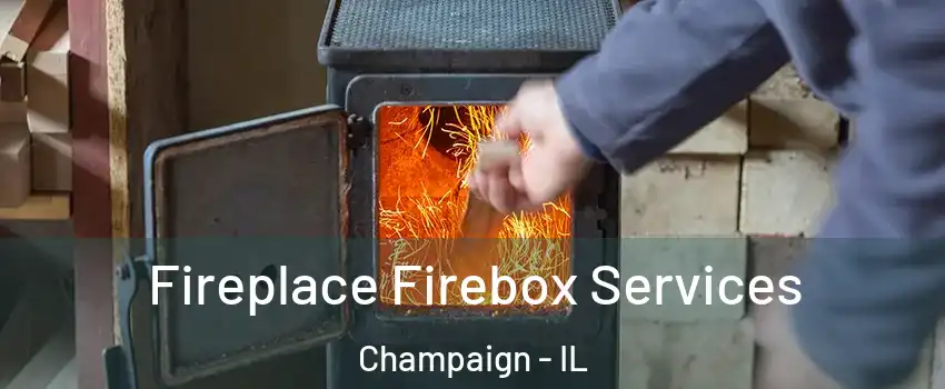  Fireplace Firebox Services Champaign - IL