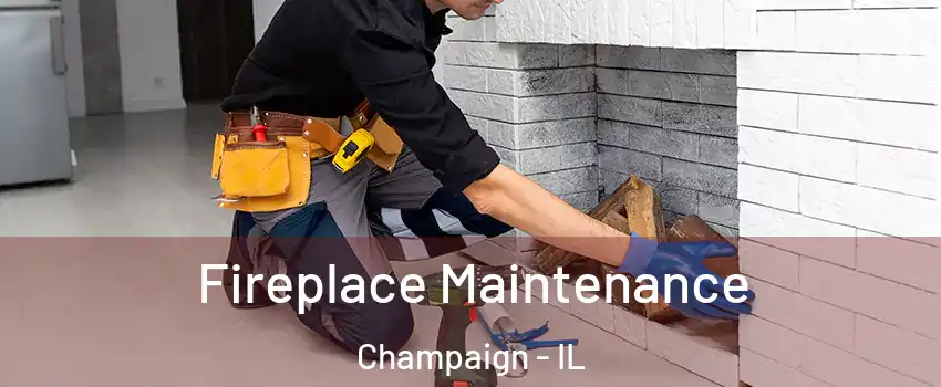  Fireplace Maintenance Champaign - IL