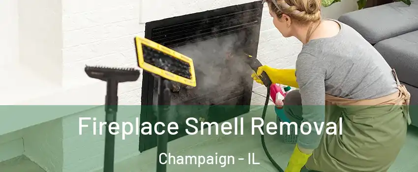  Fireplace Smell Removal Champaign - IL