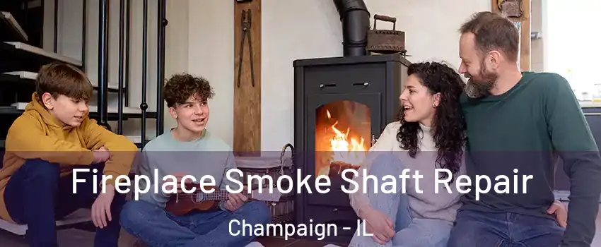  Fireplace Smoke Shaft Repair Champaign - IL