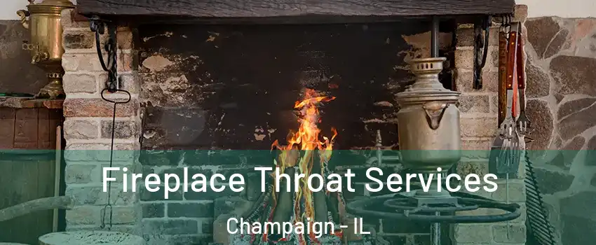  Fireplace Throat Services Champaign - IL