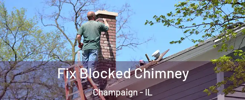  Fix Blocked Chimney Champaign - IL