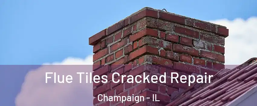  Flue Tiles Cracked Repair Champaign - IL