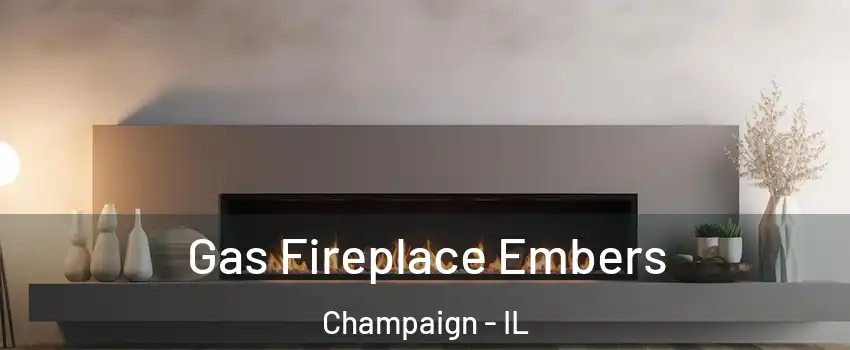  Gas Fireplace Embers Champaign - IL