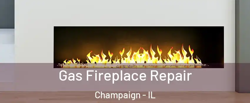  Gas Fireplace Repair Champaign - IL