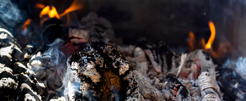 Creosote Removal Experts in Champaign, IL