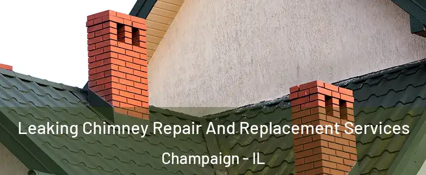  Leaking Chimney Repair And Replacement Services Champaign - IL