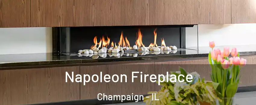  Napoleon Fireplace Champaign - IL