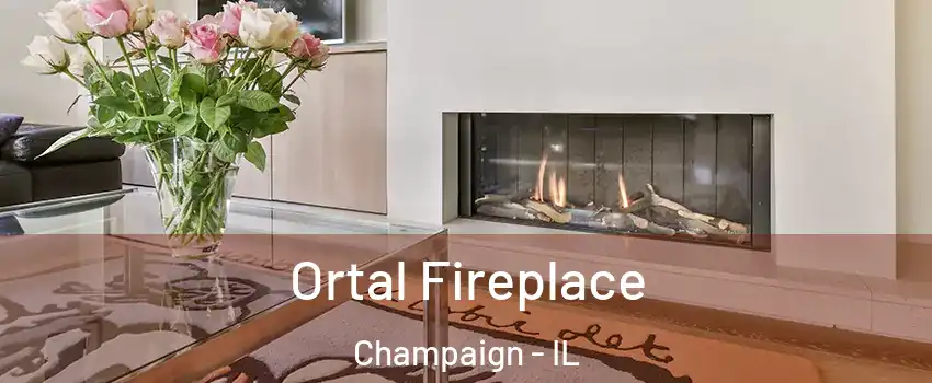  Ortal Fireplace Champaign - IL